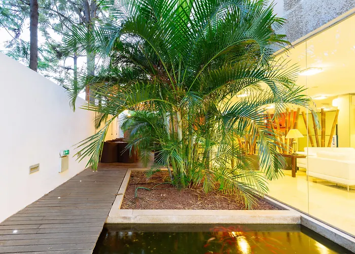 Hotel Colon Rambla Santa Cruz de Tenerife