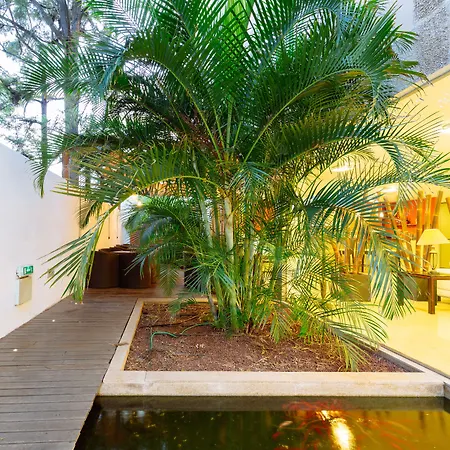 ホテル コロン ランブラ サンタクルスデテネリフェ